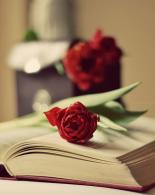 新闻学院读书会：《作为文化的传播》