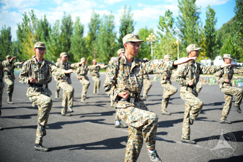 扎实训练军体拳招式初见士气