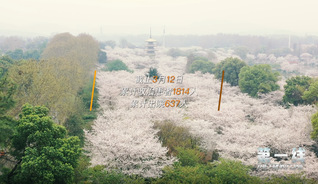 抗疫纪录片《第一线》第三集