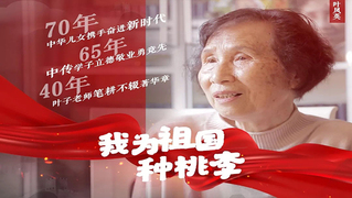 中国电视新闻教育奠基人——叶凤英教授