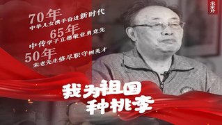 中国电影学科开拓者——宋家玲教授